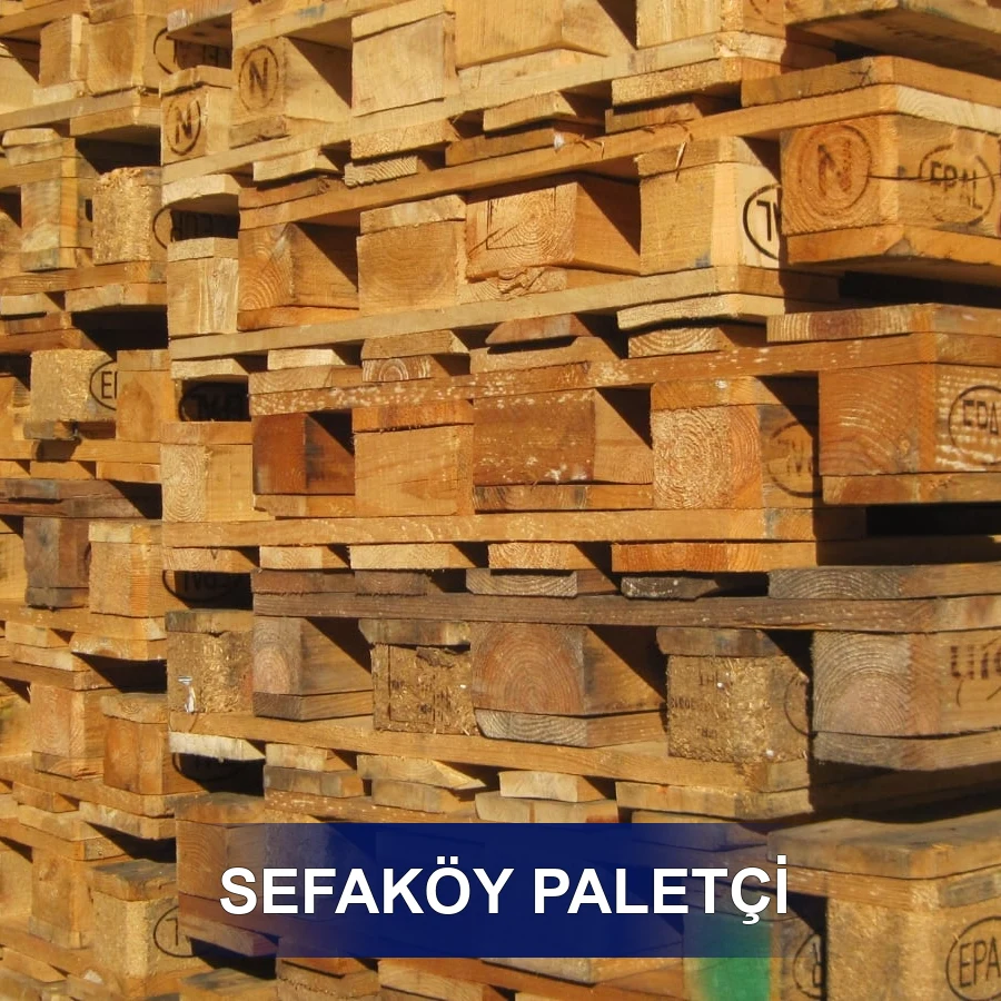 Sefaköy Paletçi